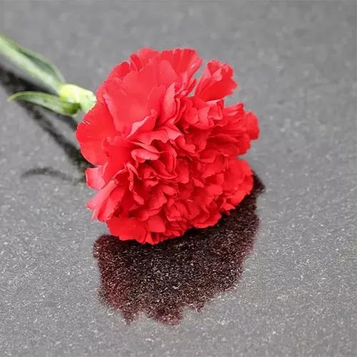 攻略丨了解多姿多彩的瓷磚紋理，才能裝出時(shí)尚有范的美好生活！
(圖3)
