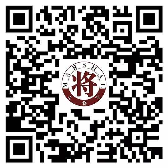 攻略丨了解多姿多彩的瓷磚紋理，才能裝出時(shí)尚有范的美好生活！
(圖8)