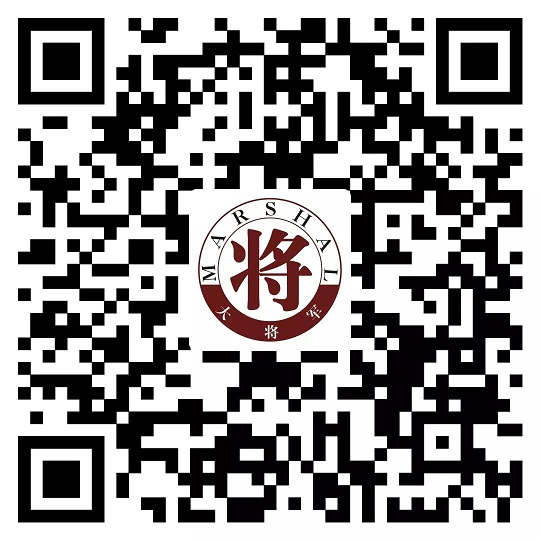 攻略丨了解多姿多彩的瓷磚紋理，才能裝出時(shí)尚有范的美好生活！
(圖17)