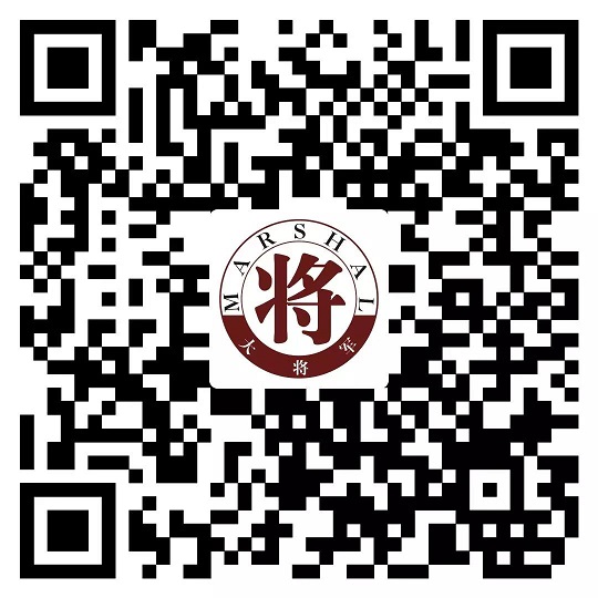 攻略丨了解多姿多彩的瓷磚紋理，才能裝出時(shí)尚有范的美好生活！
(圖11)